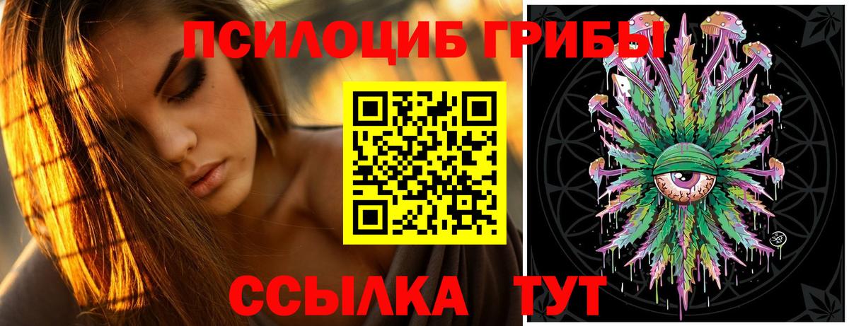 Псилоцибиновые грибы Cubensis  Вход с VPN  Сегежа 