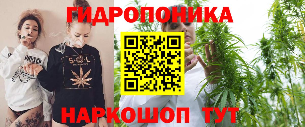 Марихуана марихуана  Конопля планчик  Вход с VPN  Шишки марихуана LSD WEED  Сегежа 